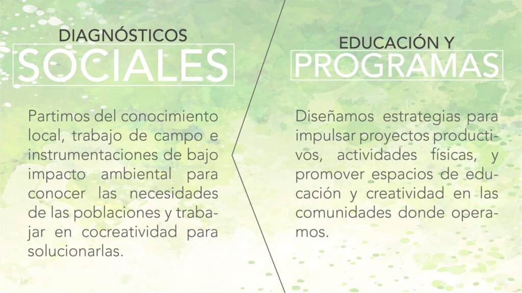 Sin-título-1_Mesa-de-trabajo-1-1