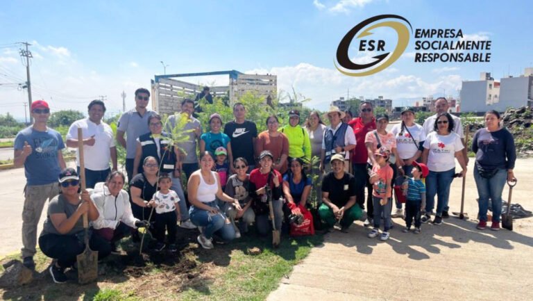 reforestacion - copia