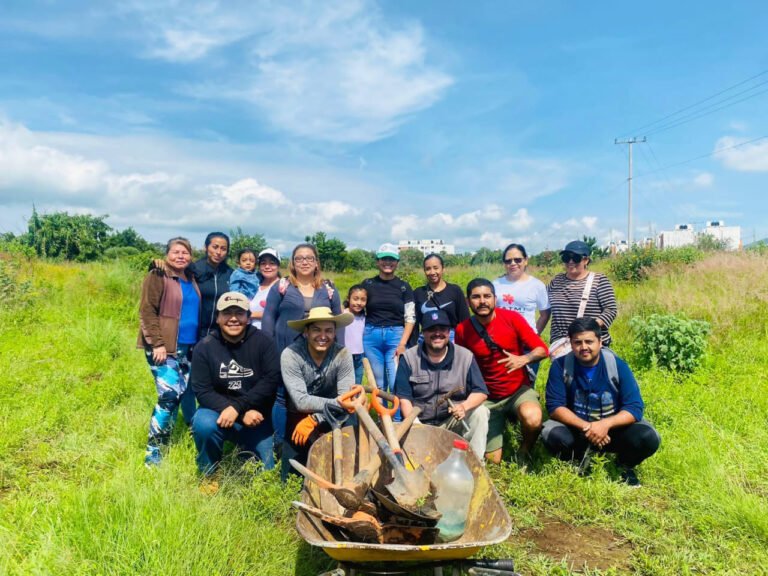 reforestacion1 - copia