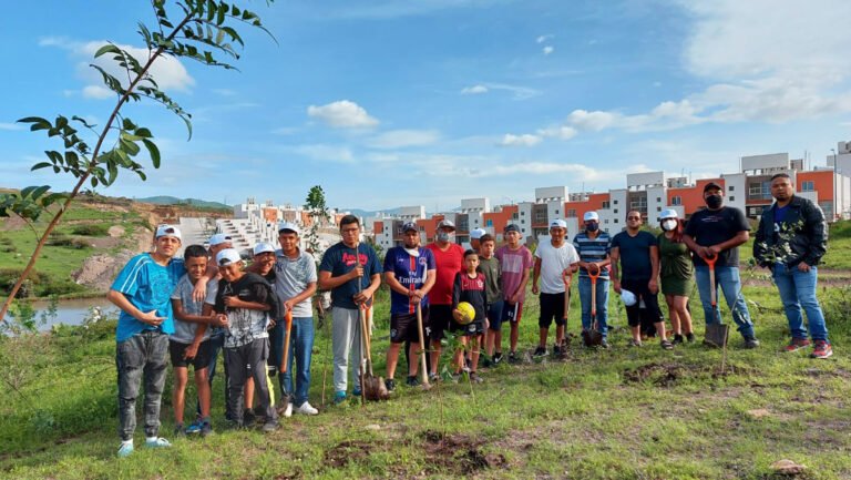 reforestacion3 - copia
