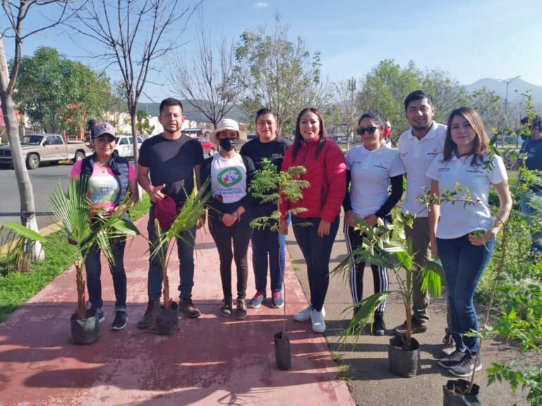 reforestacion4 - copia
