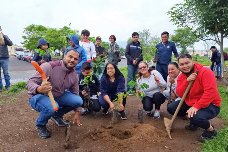 reforestacion7