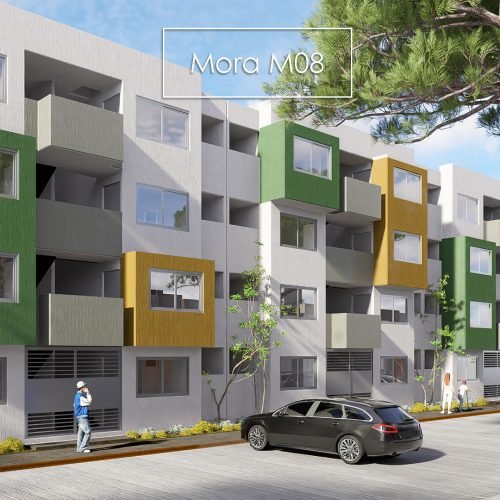 Mora-M08-VBosque