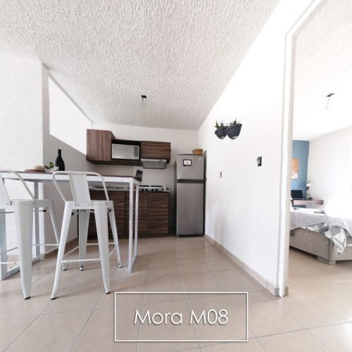 Mora3-M08-VBosque